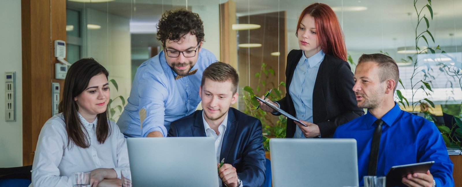 Web Development Workspace